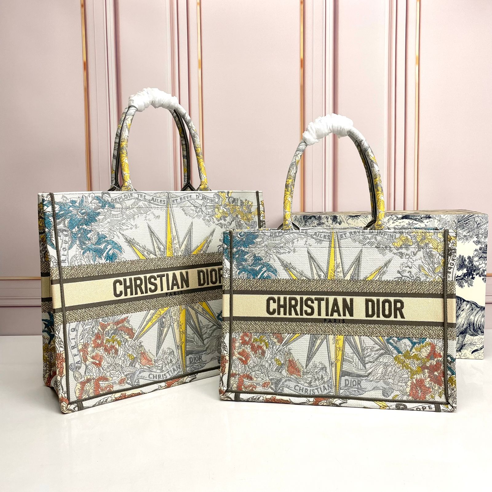 Dior Book Tote Bag